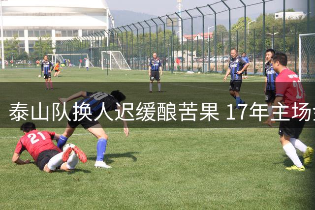 泰山队换人迟缓酿苦果 17年主场金身被河南队攻陷